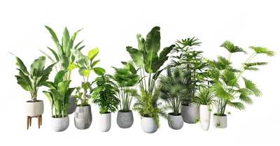现代绿植盆栽3D模型下载